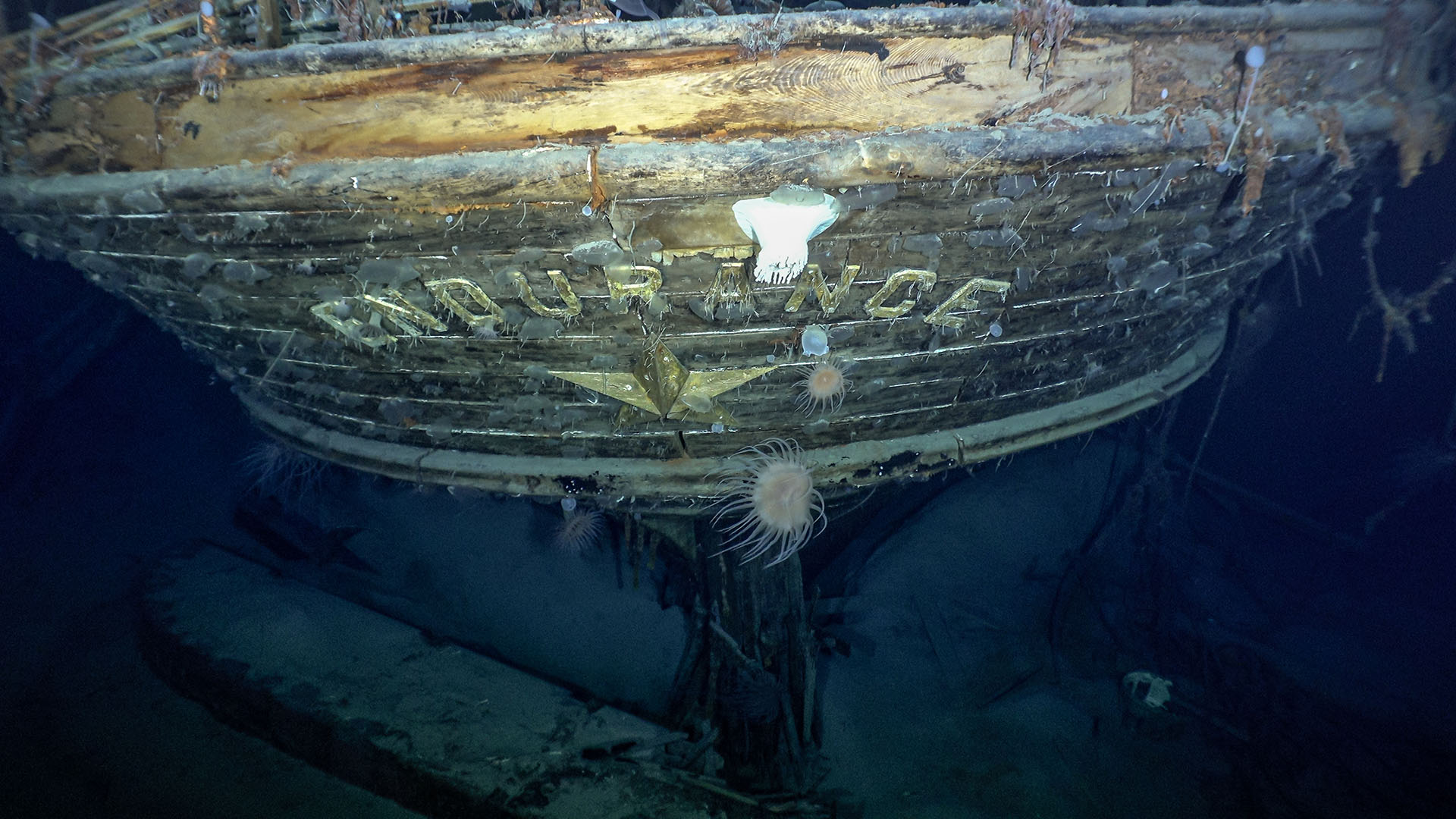 Nationwide Geographic tells the story of Ernest Shackleton's doomed ship Endurance